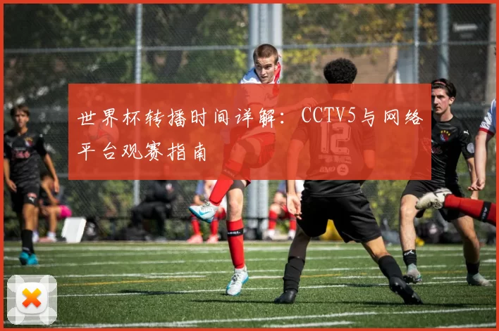 世界杯转播时间详解：CCTV5与网络平台观赛指南