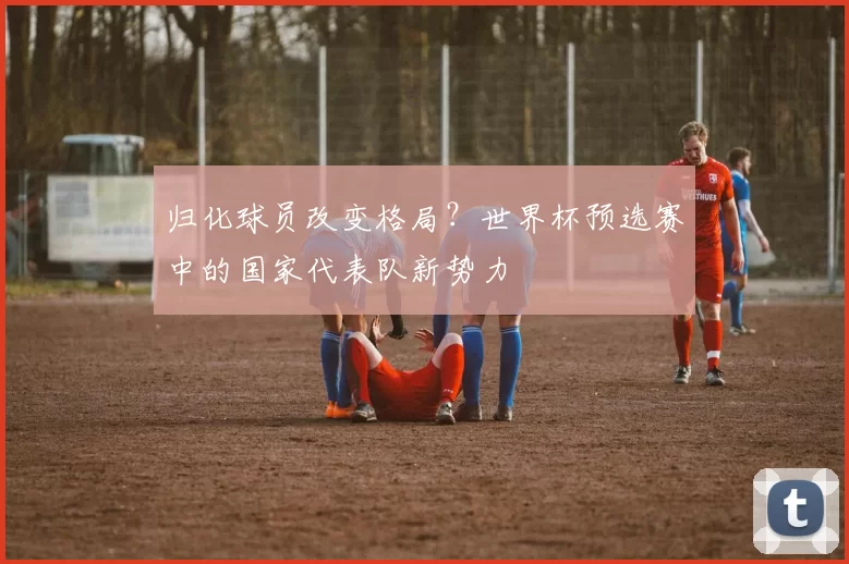 归化球员改变格局?世界杯预选赛中的国家代表队新势力