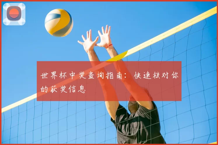 世界杯中奖查询指南：快速核对你的获奖信息