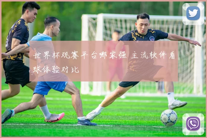 世界杯观赛平台哪家强 主流软件看球体验对比
