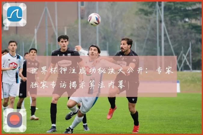 世界杯押注成功秘诀大公开：专家独家专访揭示算法内幕