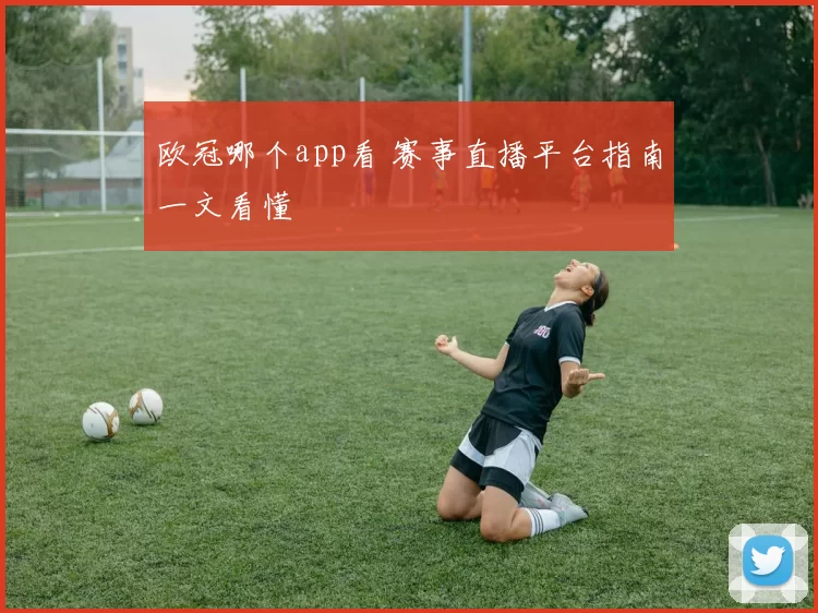 欧冠哪个app看 赛事直播平台指南一文看懂