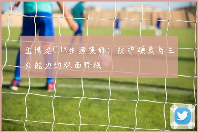 孟博龙CBA生涯集锦：防守硬度与三分能力的双面锋线