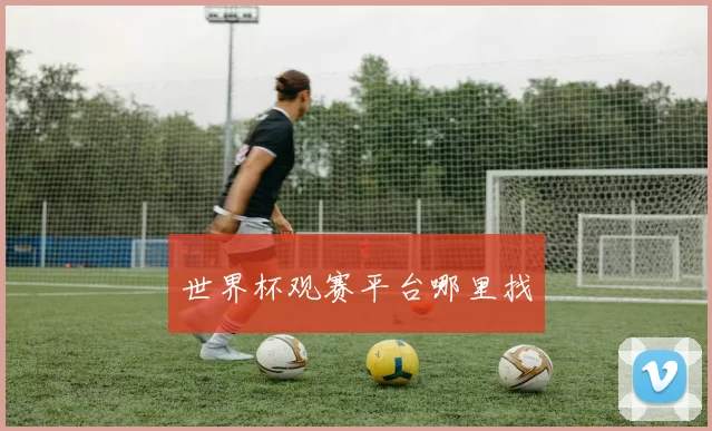 世界杯观赛平台哪里找