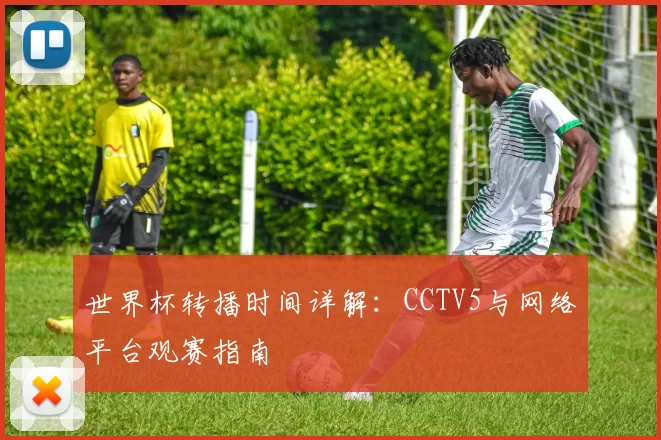 世界杯转播时间详解:CCTV5与网络平台观赛指南