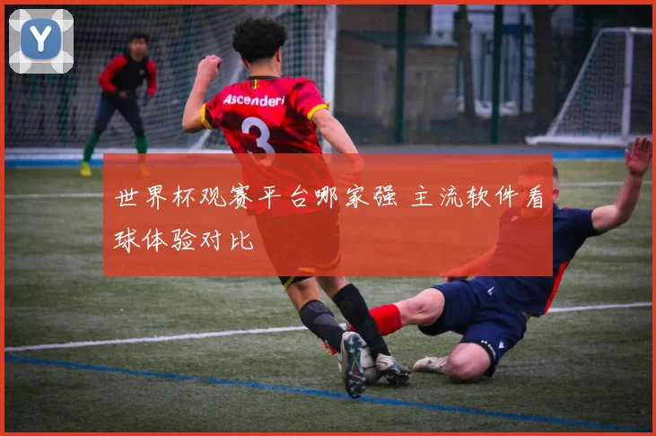 世界杯观赛平台哪家强 主流软件看球体验对比