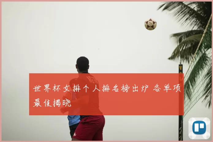 世界杯女排个人排名榜出炉 各单项最佳揭晓