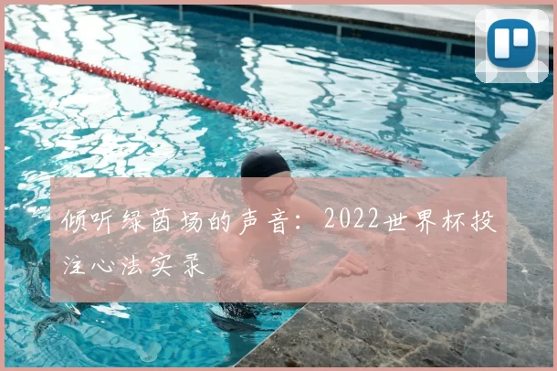 倾听绿茵场的声音：2022世界杯投注心法实录
