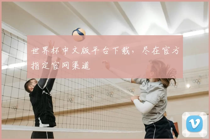 世界杯中文版平台下载，尽在官方指定官网渠道