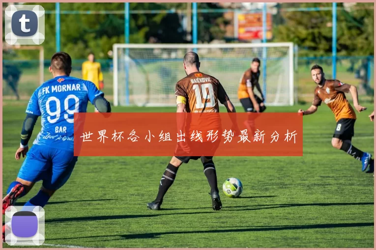 世界杯各小组出线形势最新分析