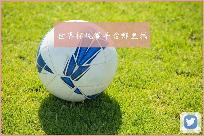世界杯观赛平台哪里找