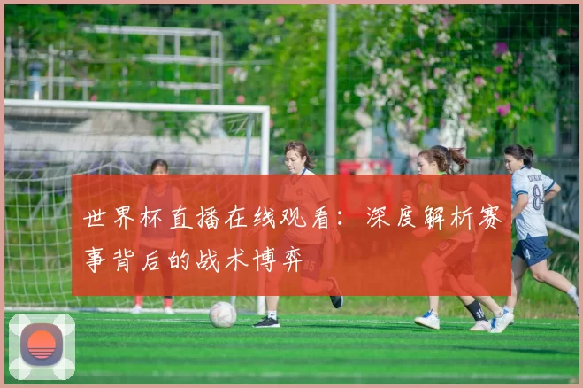世界杯直播在线观看：深度解析赛事背后的战术博弈