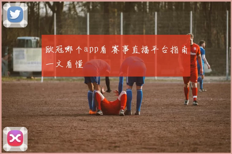 欧冠哪个app看 赛事直播平台指南一文看懂